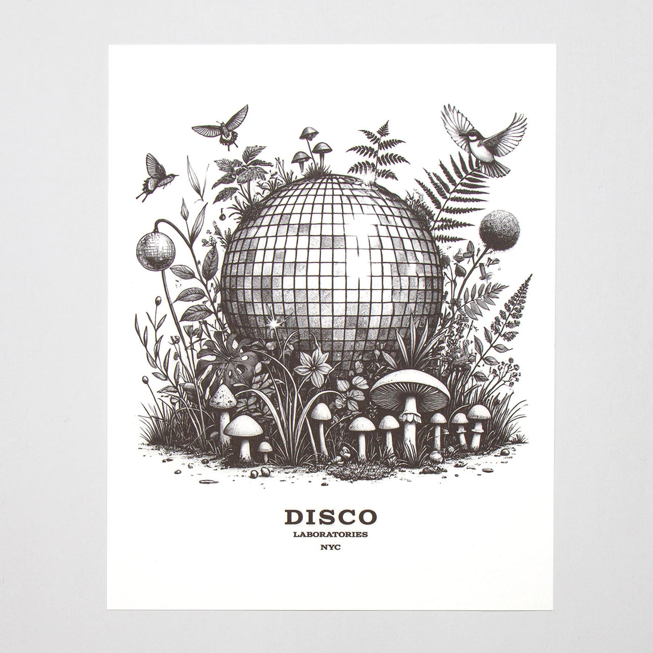 Ecology Disco Labs NYC - Art Print