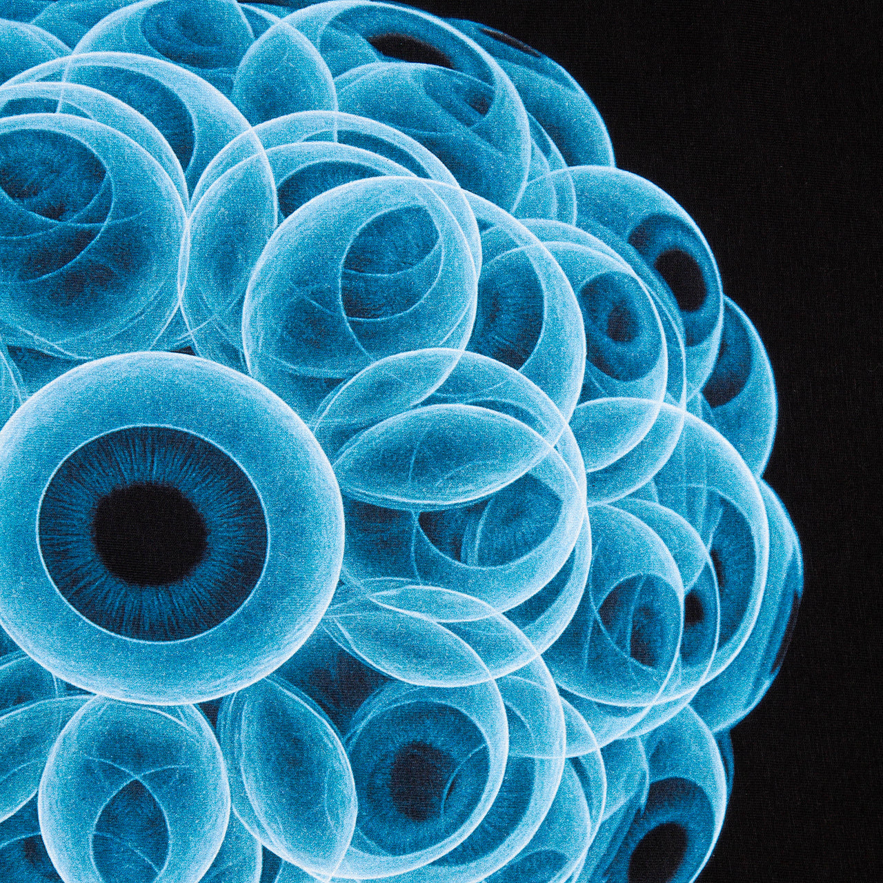 Crest Orb 047 Disco Psychedelia - Sweatshirt - Black