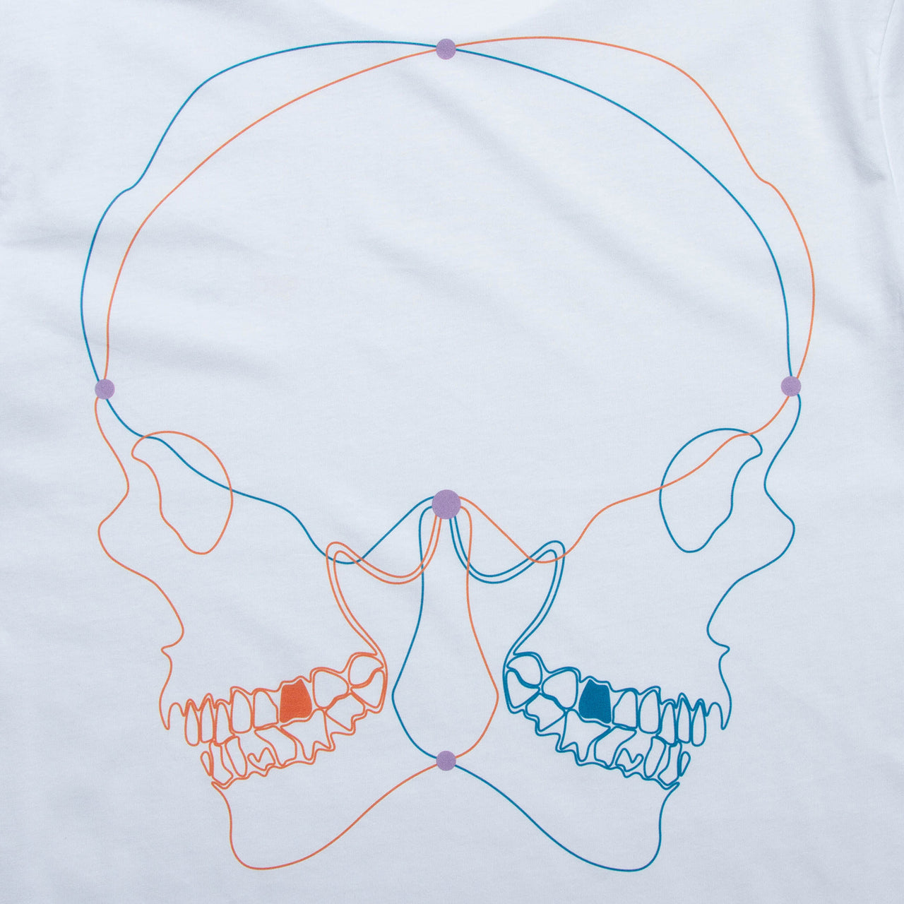 BF Skulls Orange Blue Back Print - Tshirt - White