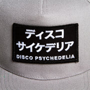 Disco Psychedelia - Snapback - Grey - Wasted Heroes