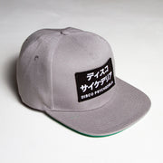 Disco Psychedelia - Snapback - Grey - Wasted Heroes