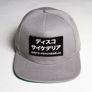 Disco Psychedelia - Snapback - Grey - Wasted Heroes